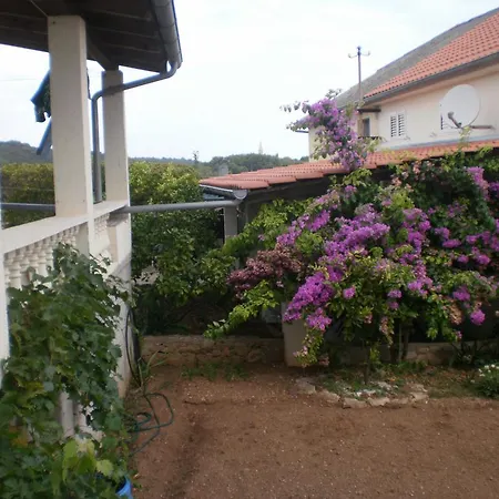 Holiday Branka * Mali Iž